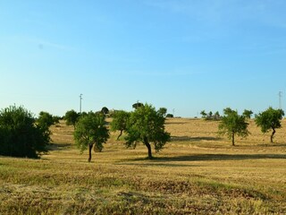 Villa Ostuni Omgeving 25