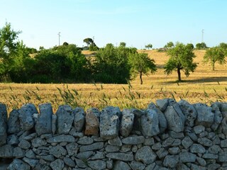 Villa Ostuni Registrazione all'aperto 8