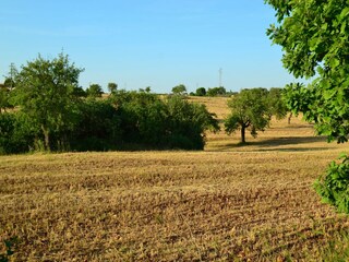 Villa Ostuni Ambiente 26