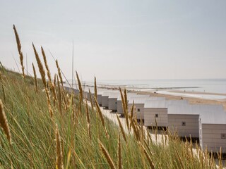 Vakantiepark Julianadorp Omgeving 21