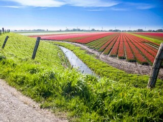 Vakantiepark Julianadorp Omgeving 28
