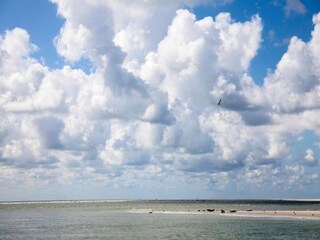 Holiday park Julianadorp Environment 25