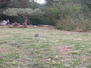 Vakantiepark Sant Salvador de Guardiola Buitenaudio-opname 10