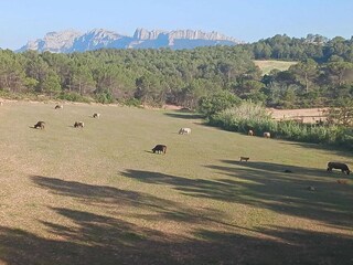 Holiday park Sant Salvador de Guardiola Environment 18