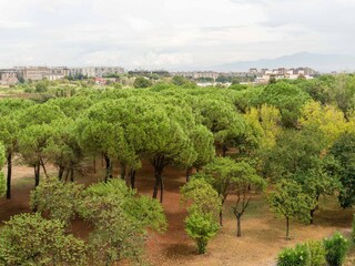 Apartment Rom Süden Environment 30