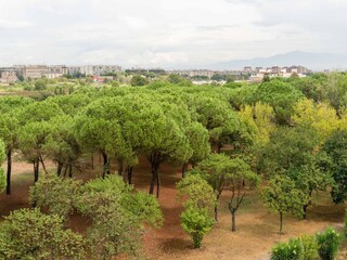 Apartamento Rom Süden Entorno 30