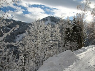 Appartamento Maishofen Ambiente 35