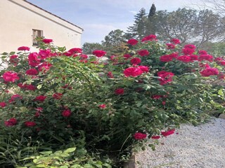 Parco vacanze Sant Salvador de Guardiola  35