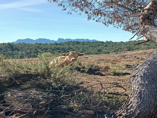 Parque de vacaciones Sant Salvador de Guardiola  35