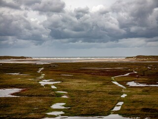 Vakantiepark De Cocksdorp Omgeving 29