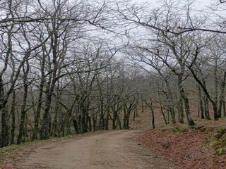 Ferienhaus Cilleros Umgebung 36