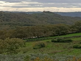 Holiday house Cilleros Environment 37