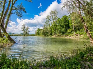 Casa per le vacanze Acqualagna Ambiente 37