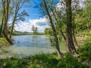 Maison de vacances Acqualagna Environnement 38