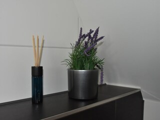 Appartement Bergen aan Zee  23