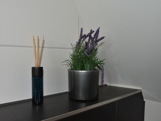 Appartamento Bergen aan Zee  26