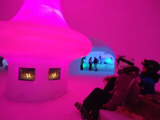 Appartamento per vacanze Piesendorf Ambiente 40