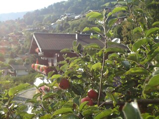 Appartamento per vacanze Piesendorf Registrazione all'aperto 7