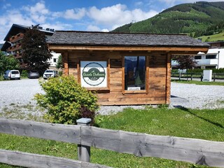 Appartamento per vacanze Piesendorf Registrazione all'aperto 11