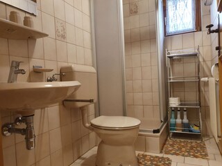 Appartamento per vacanze Piesendorf Caratteristiche 22