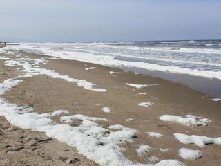 Parc de vacances Wijk aan Zee Environnement 22