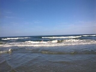 Ferienpark Wijk aan Zee Umgebung 37