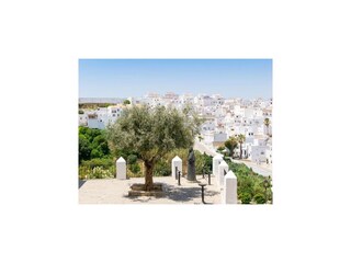 Apartment Zahara de los Atunes Environment 23