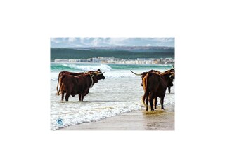 Apartamento Zahara de los Atunes Grabación al aire libre 9