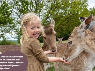 Vakantiepark Sønderballe  16