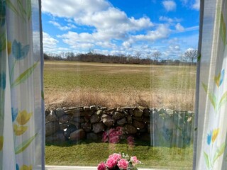 Ferienhaus Löttorp  6