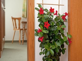 Apartment Hart Ausstattung 15