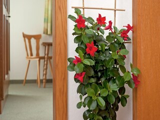 Apartment Hart Ausstattung 18