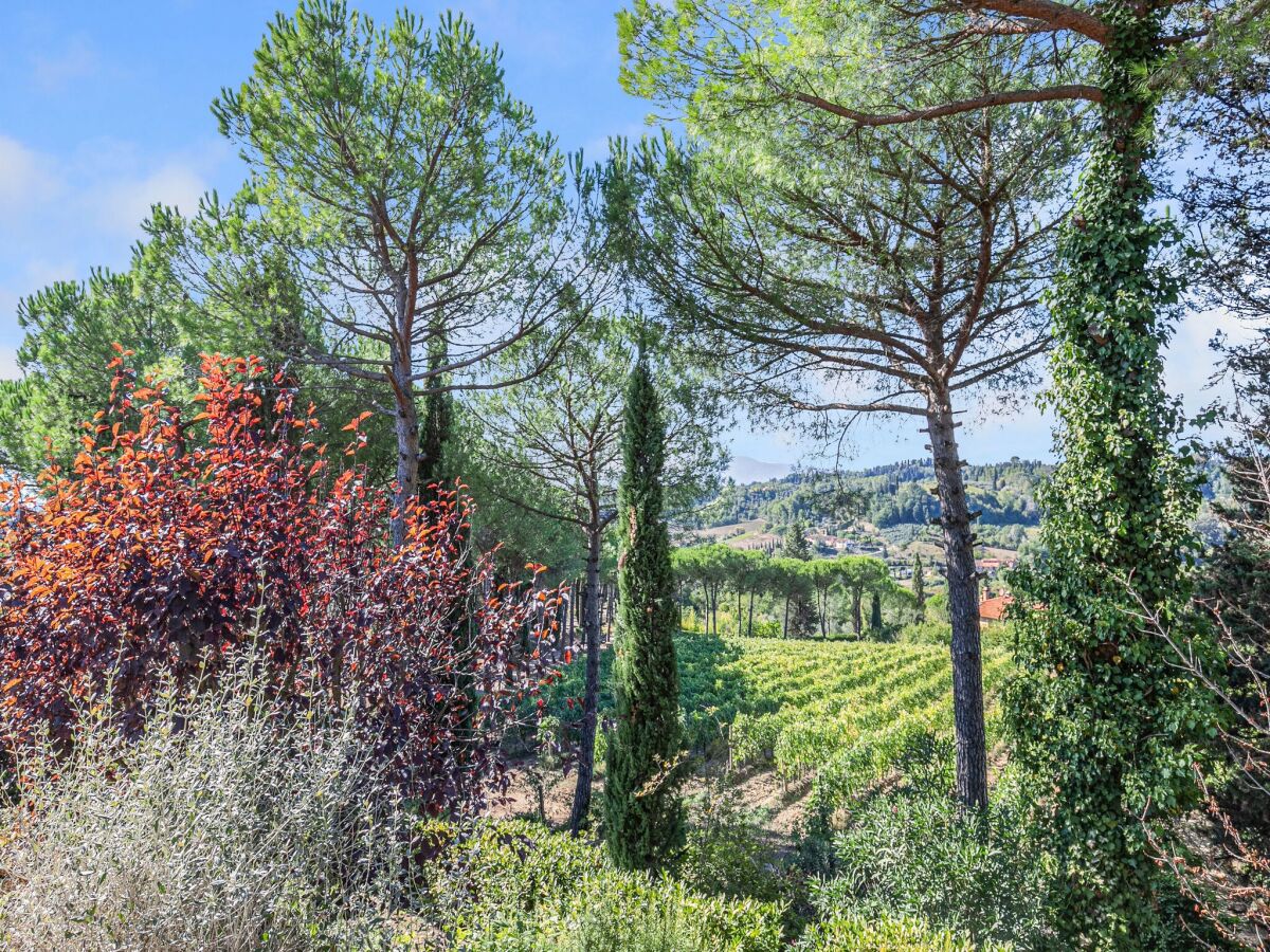 Farmhouse San Miniato Outdoor Recording 1