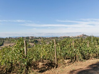 Bauernhof San Miniato Außenaufnahme 16
