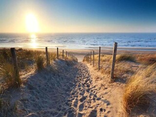 Parc de vacances Dishoek Environnement 22