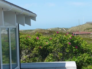Holiday house Søndervig  10