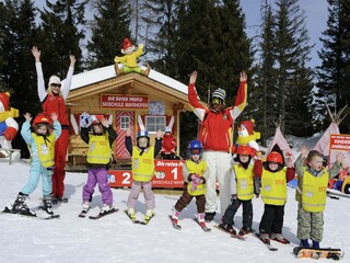 Apartamento Ramsau im Zillertal Entorno 18