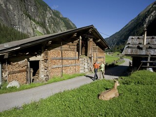 Apartamento Ramsau im Zillertal Entorno 22