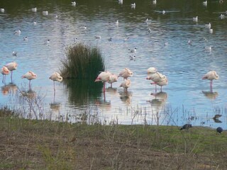 Villa Valle de Abdalajís Ambiente 29