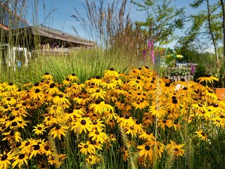Parco vacanze Dishoek Registrazione all'aperto 2