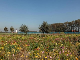 Vakantiepark Dishoek Omgeving 21