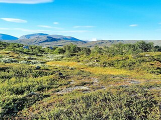 Holiday house Welt  4