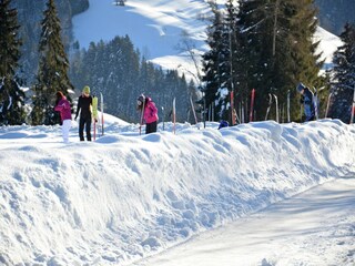 Apartment Auffach Umgebung 37