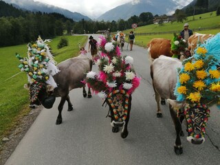 Appartement Auffach Omgeving 50