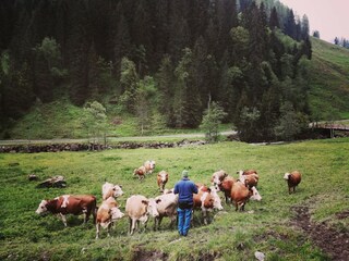 Appartement Auffach Environnement 32