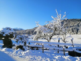 Apartment Auffach Umgebung 51