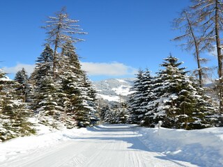Apartment Auffach Umgebung 35