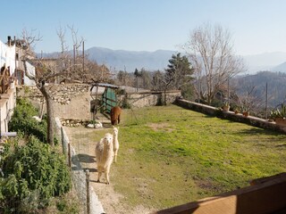 Casa per le vacanze Narni Ambiente 15