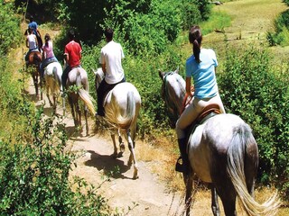 Casa per le vacanze Umbertide  26