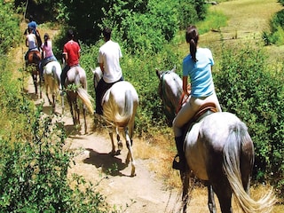 Ferienhaus Umbertide  26